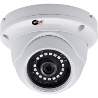 2.0MP купольная HD Камера с коаксиальным выходом RVC-DM364RC2W-CD