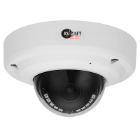 2.0MP Купольная антивандальная IP Камера с инфракрасной подсветкой RVA-DM350BC80M-XP, Функции Ultra WDR, StarLight