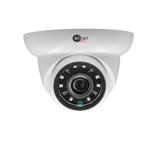 2.0MP купольная HD Камера с инфракрасной подсветкой и коаксиальным выходом RVC-DM364RCB3-C